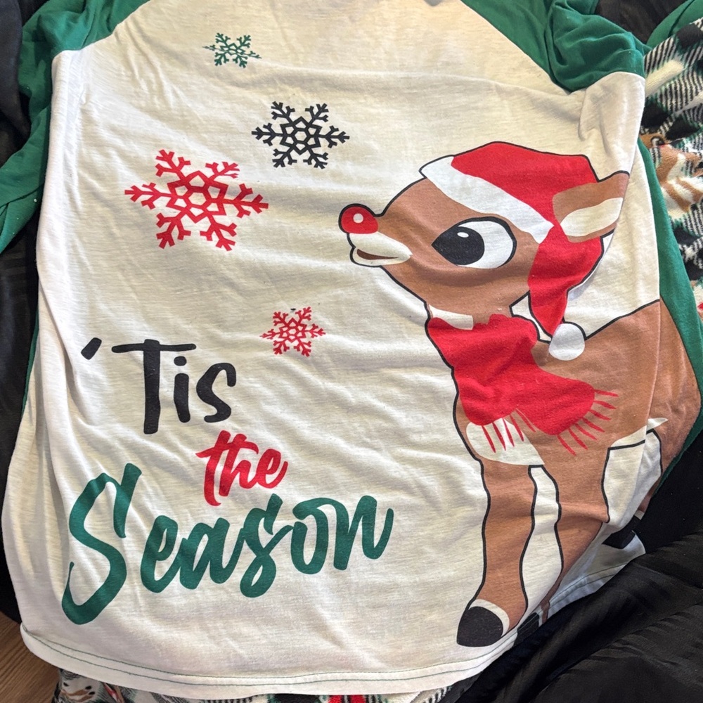 Holiday Reindeer Graphic Shirt - Green and Red